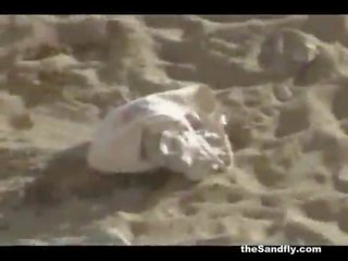 Thesandfly amatorskie plaża swell seks!